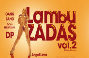 Lambuzadas 2 porn movie from Brasileirinhas